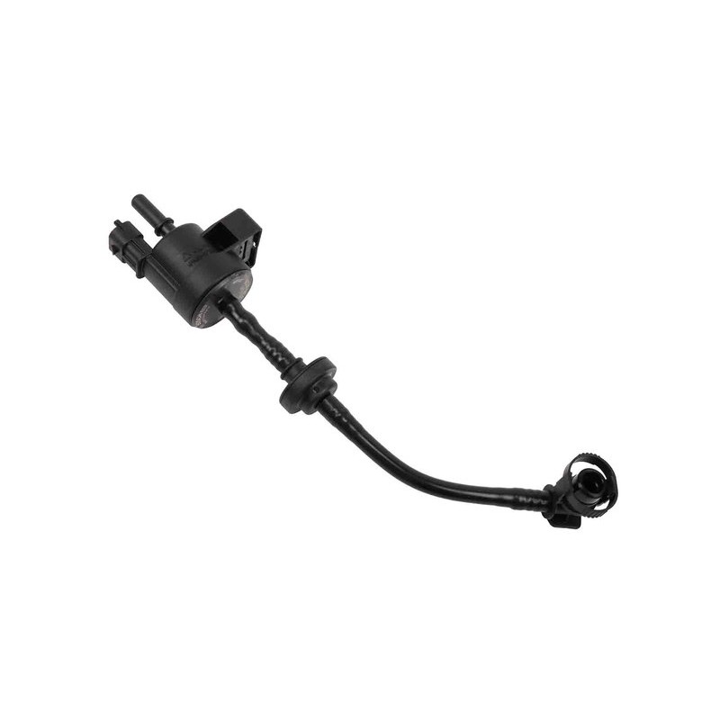 Vapor Canister Purge Valve GM (55573017)