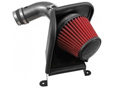 AEM Cold Air Intake 