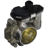 Throttle Body with Throttle Actuator